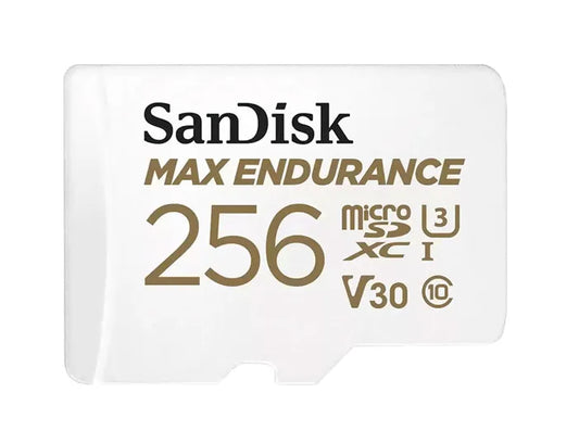SDSQQVR-256G-AN6IA